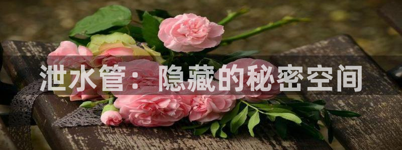 球盟会登录网址
