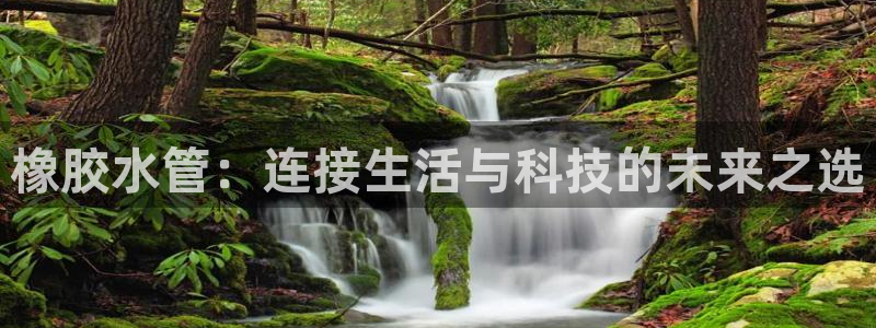 球盟会官方网站