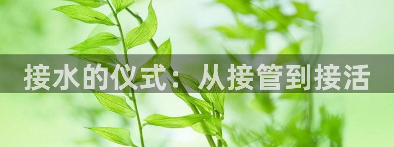 球盟会官方网站app
