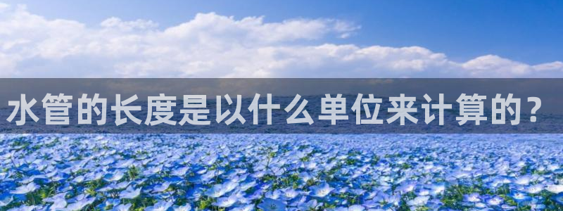 球盟会官方网址入口