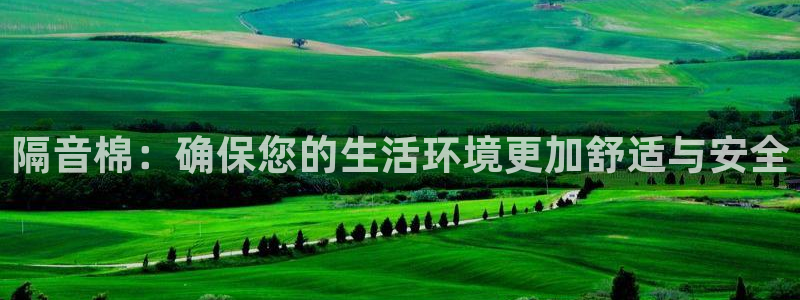 球盟会里面有打牌的嘛是真的吗