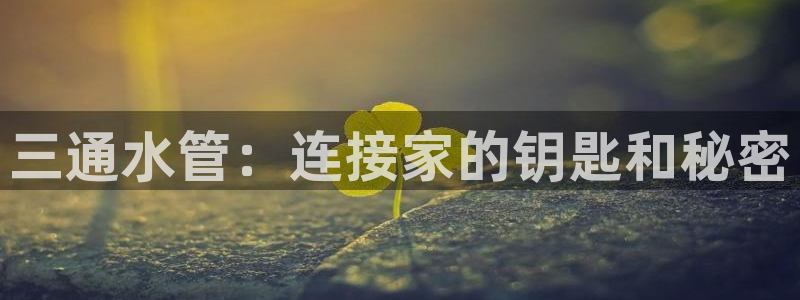 球盟会和中欧合作吗
