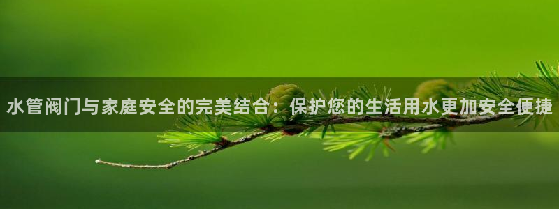 球盟会平台怎么样