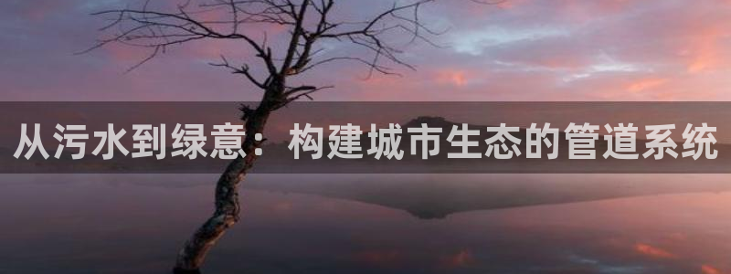 球盟会地址
