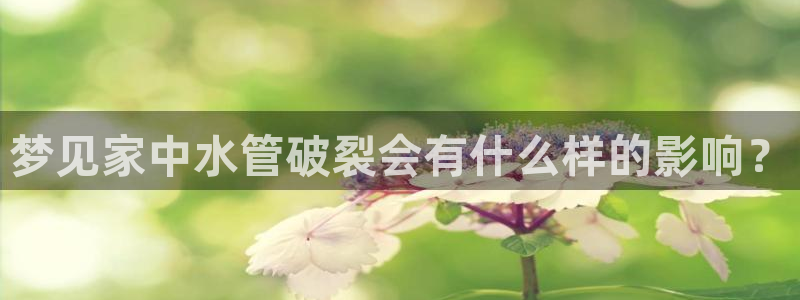 球盟会国际官网