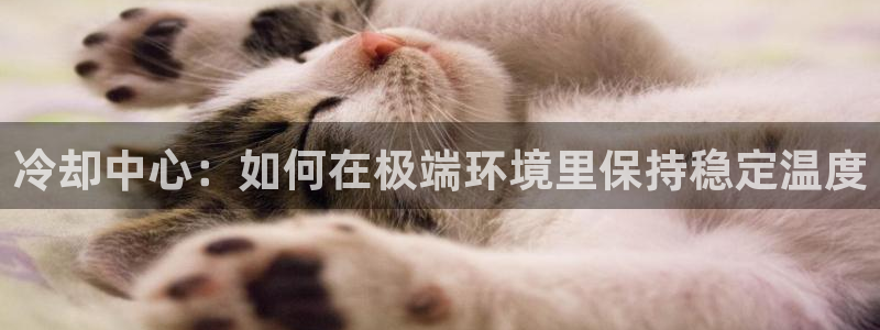 球盟会登陆中心