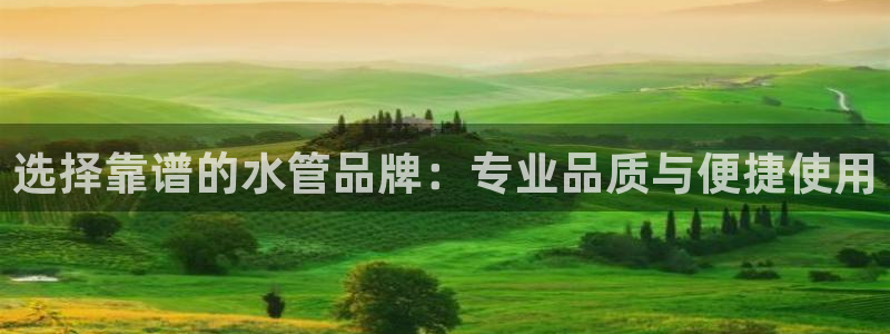 球盟会登陆