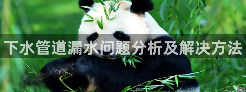 球盟会下载最新版
