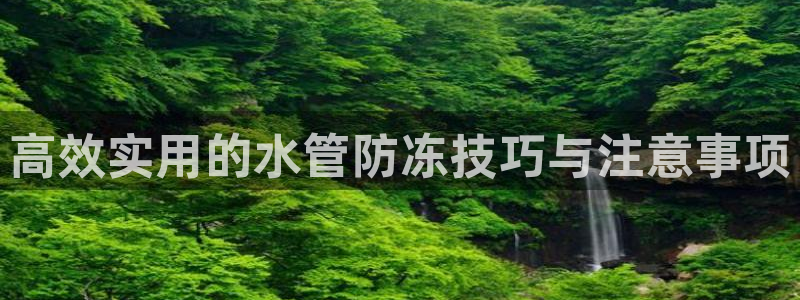 球盟会可以提现么现在