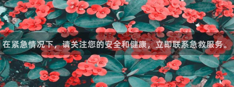 球盟会qmh - 球盟会官方网站