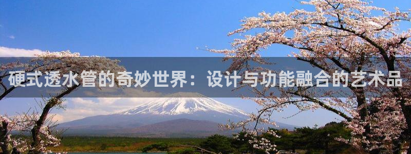 球盟会网页登录app下载地址