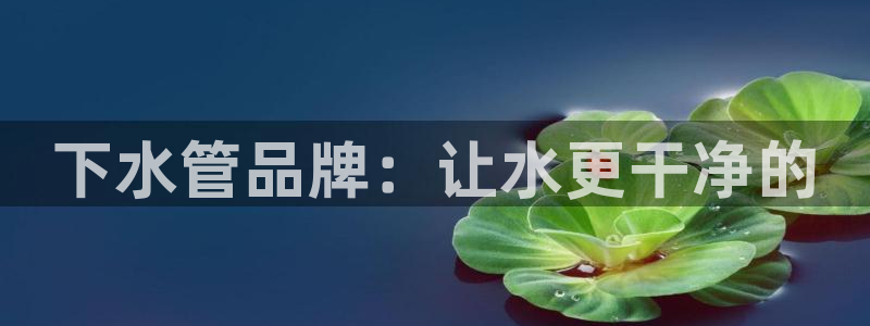 球盟会黑款吗还是白款