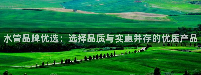 球盟会提款支付宝怎么样