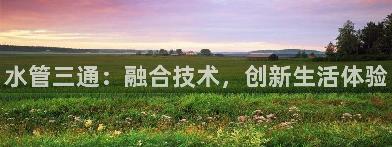 球盟会官方网站是什么