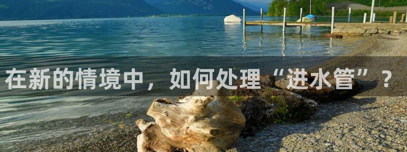 球盟会和中欧合作吗