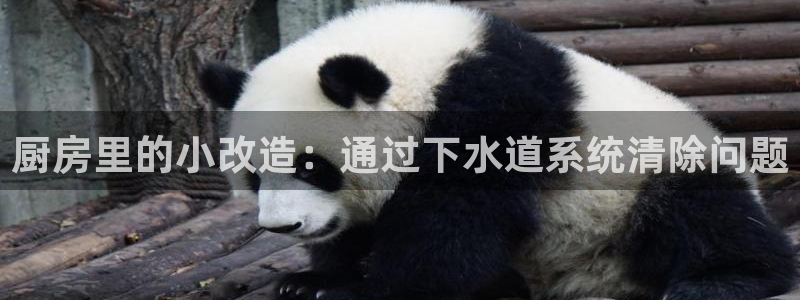 球盟会可以提现么