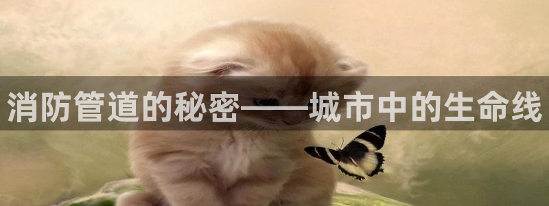 球盟会qmh - 球盟会官方网站