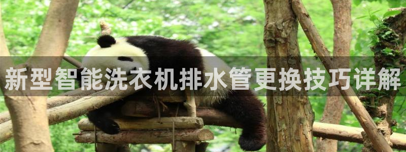 球盟会登录平台入口