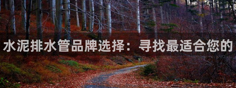 球盟会进不去吗