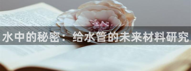 球盟会里面有打牌的嘛是真的吗