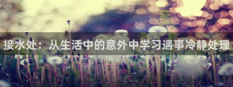 球盟会app网址多少