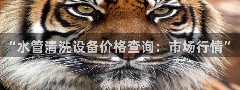 球盟会官网app下载