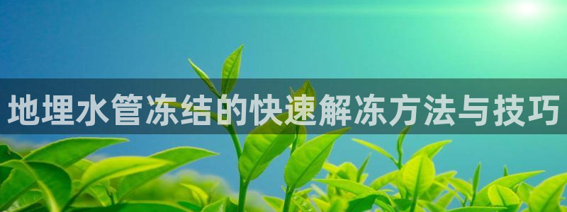 球盟会在线登录