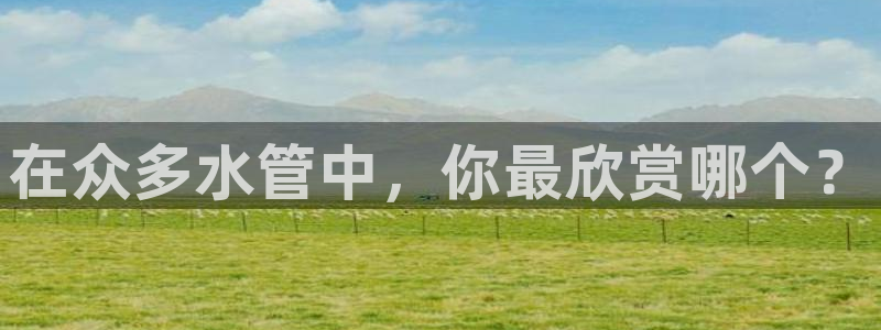 球盟会用的客服聊天是哪个软件