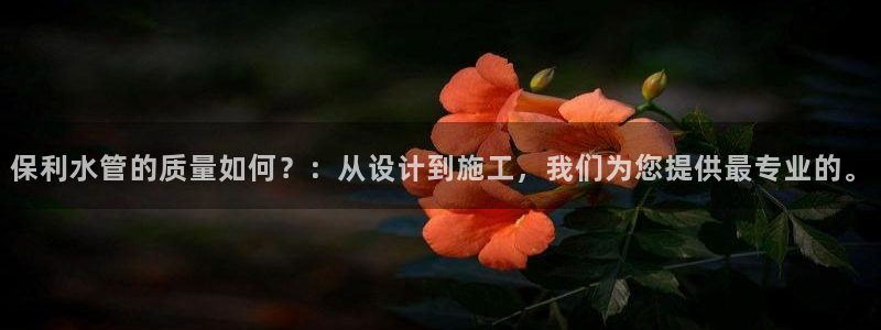 球盟会app最新地址在哪找