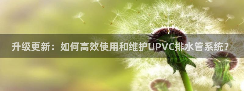 球盟会app入口