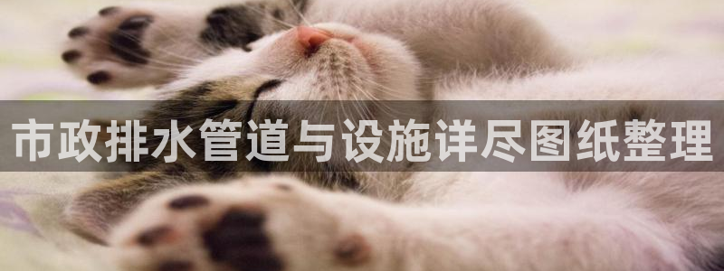 球盟会和中欧合作吗