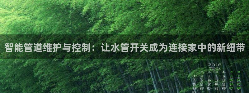 球盟会体育app官方网站