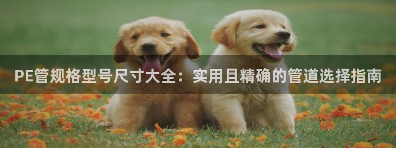 球盟会福利码2023最简单三个步骤