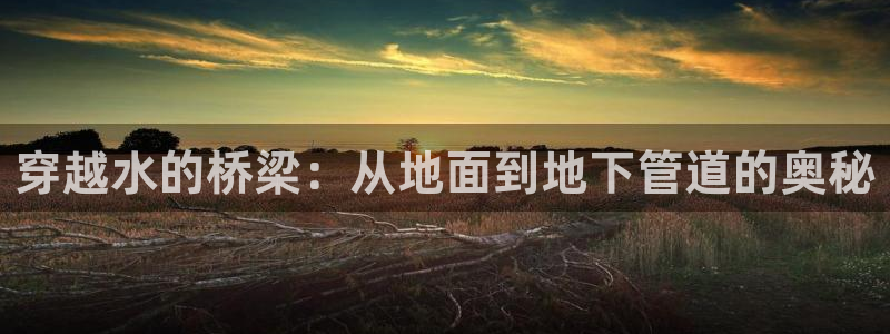 球盟会综合体育平台怎么样