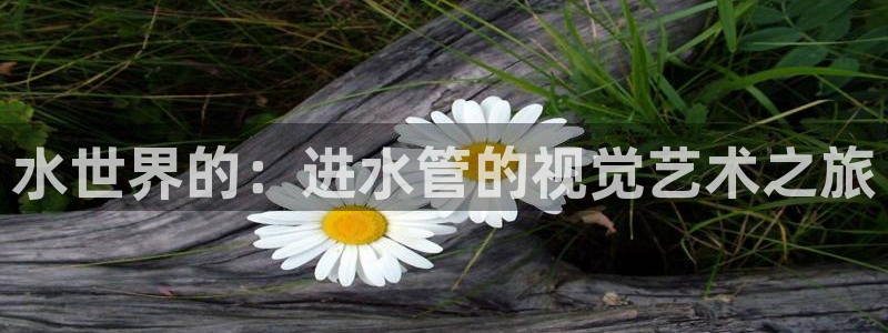 球盟会能提现吗