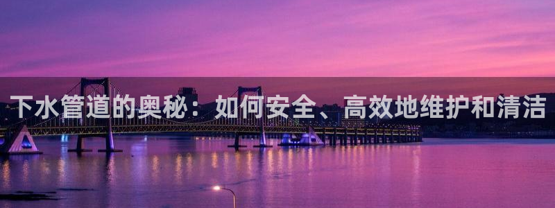 球盟会入口