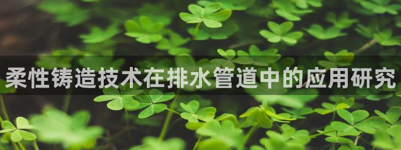 球盟会可以提现么