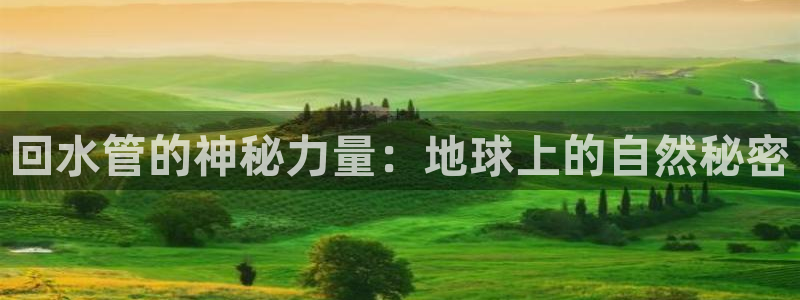 球盟会能退钱吗现在