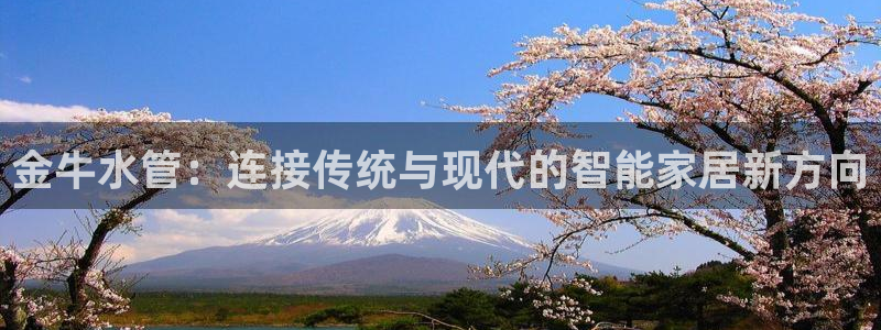 球盟会能提现吗是真的吗