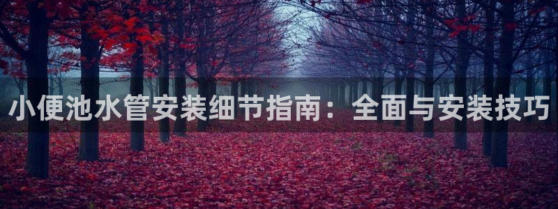 球盟会体育app官方网站