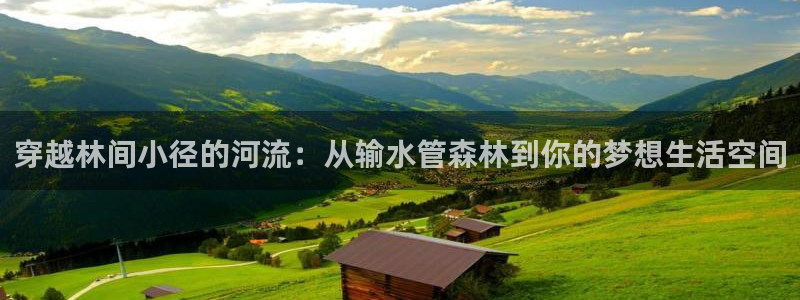 球盟会体育平台