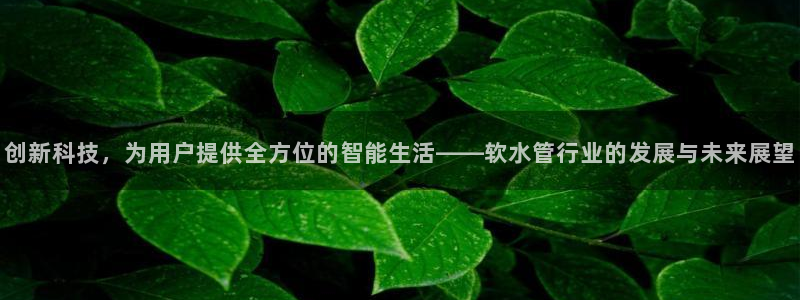 球盟会登录网址
