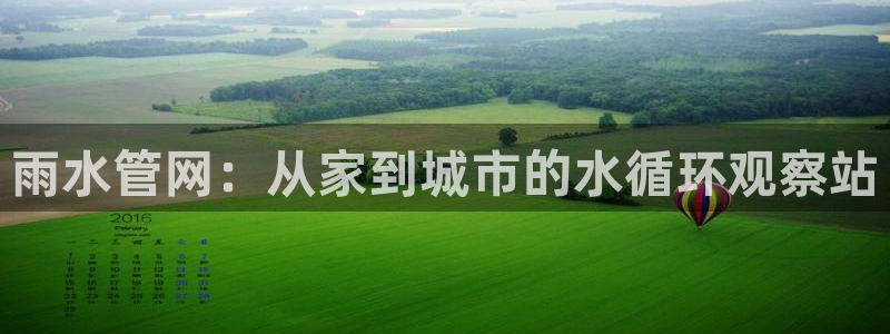 球盟会国际官网