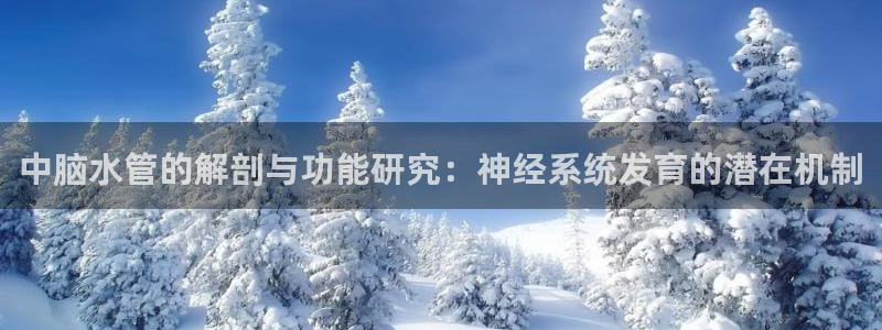 球盟会可以提现么