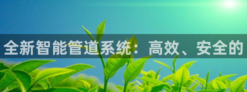 球盟会登录平台入口