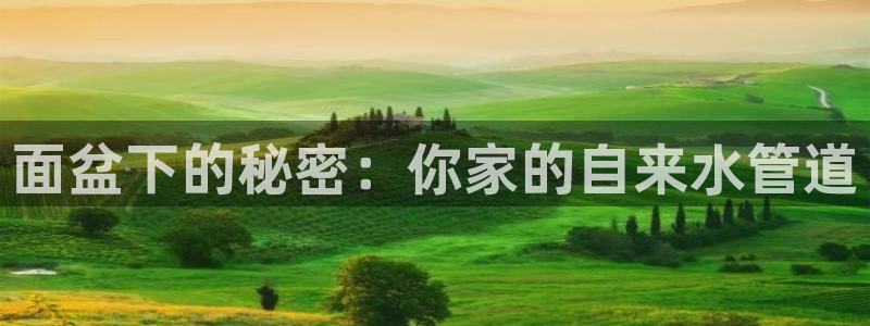 球盟会能提现吗