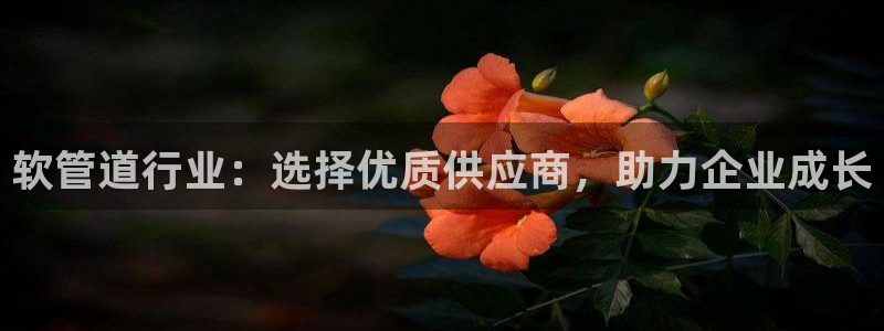 千亿球盟会乐玩