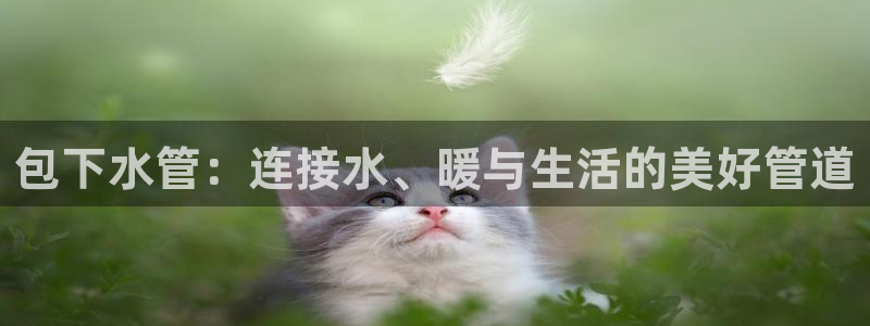 球盟会官方app首页入口