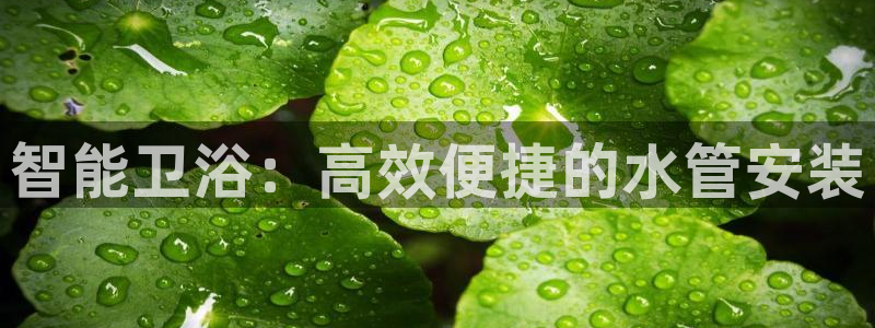 球盟会app最新地址在哪找