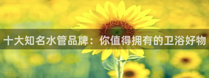 球盟会登录平台